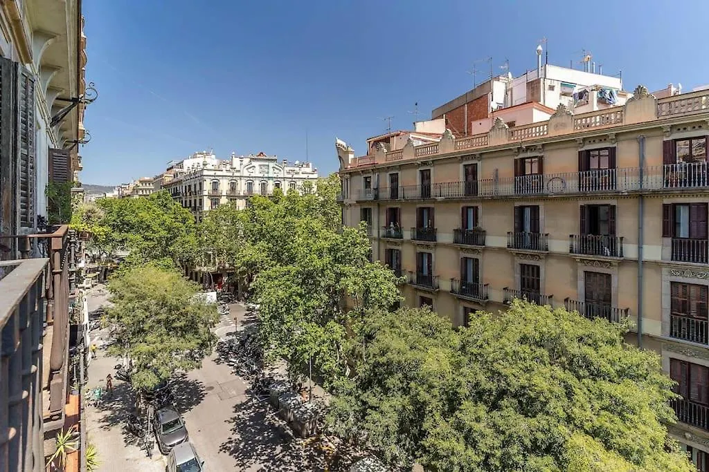 Canela Homes Barcelona Bruc